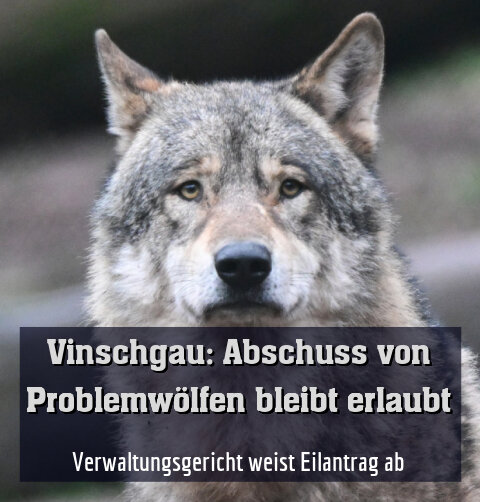 Verwaltungsgericht weist Eilantrag ab