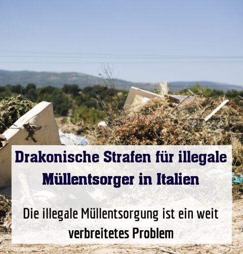 Die illegale Müllentsorgung ist ein weit verbreitetes Problem