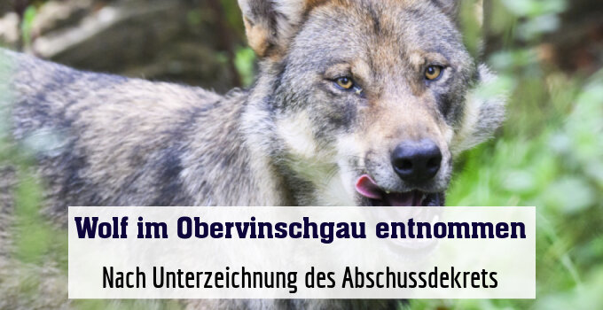Nach Unterzeichnung des Abschussdekrets