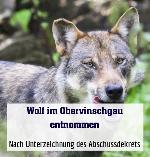 Nach Unterzeichnung des Abschussdekrets