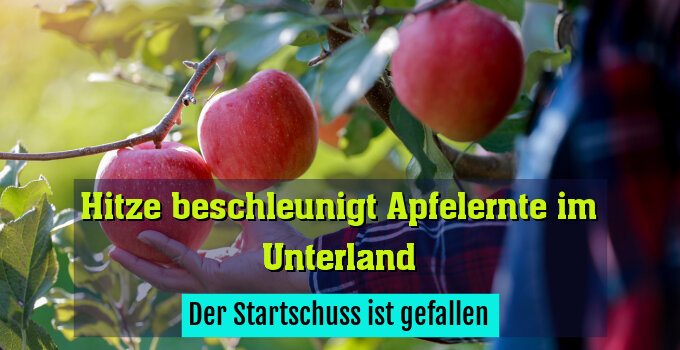 Der Startschuss ist gefallen