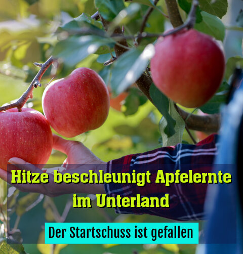 Der Startschuss ist gefallen