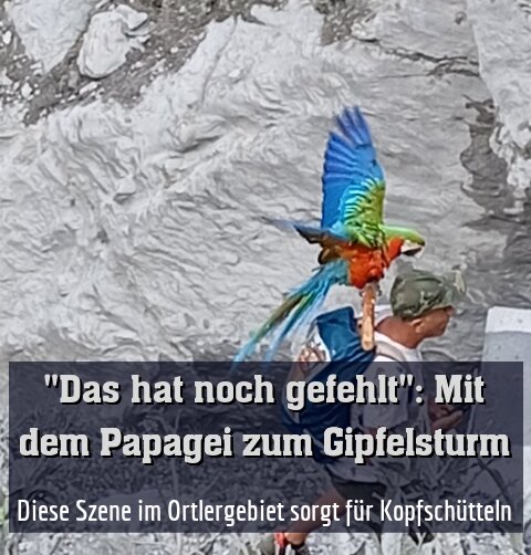 Diese Szene im Ortlergebiet sorgt für Kopfschütteln