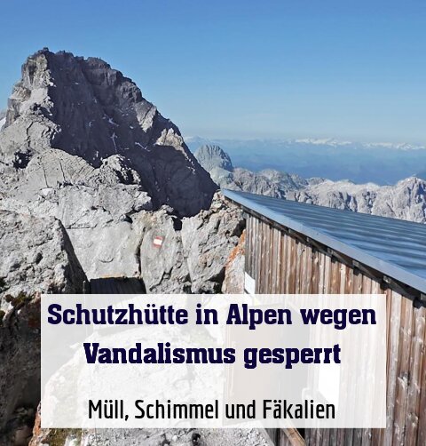 Müll, Schimmel und Fäkalien