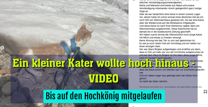 Bis auf den Hochkönig mitgelaufen