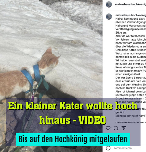 Bis auf den Hochkönig mitgelaufen