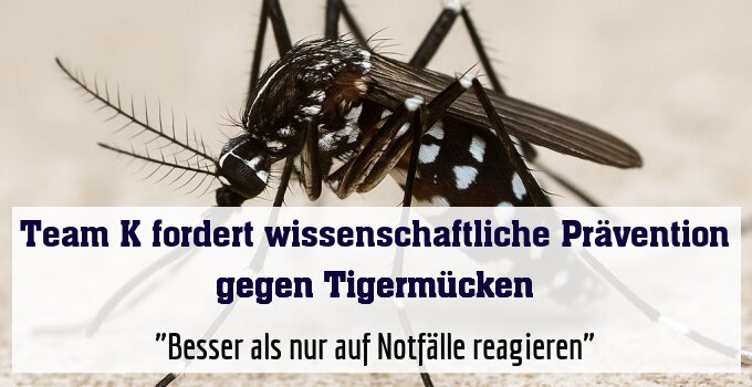 "Besser als nur auf Notfälle reagieren"