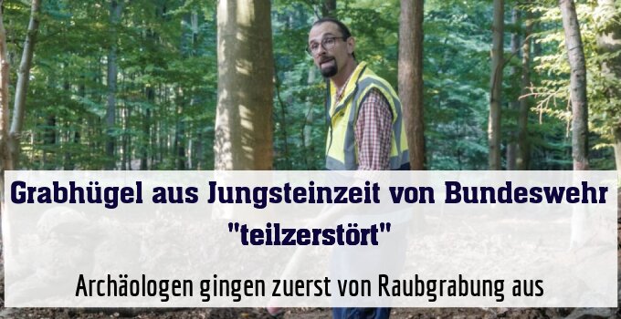 Archäologen gingen zuerst von Raubgrabung aus