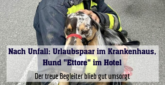 Der treue Begleiter blieb gut umsorgt