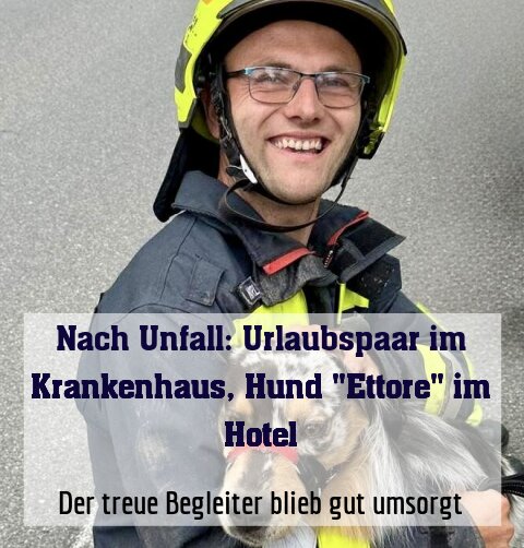 Der treue Begleiter blieb gut umsorgt