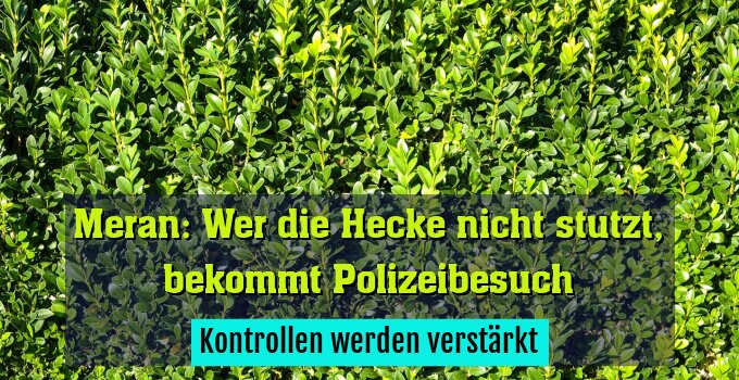 Kontrollen werden verstärkt