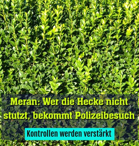 Kontrollen werden verstärkt