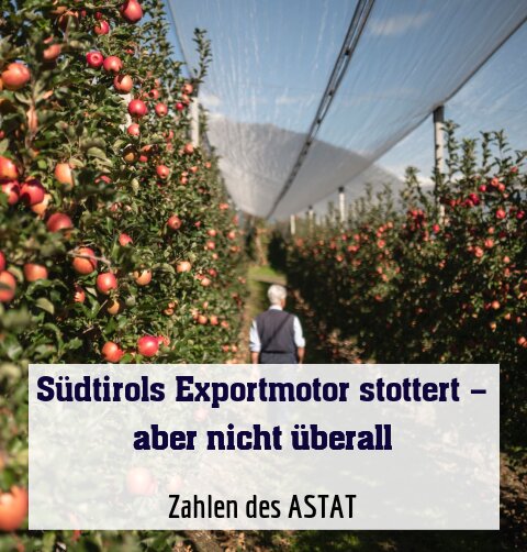 Zahlen des ASTAT