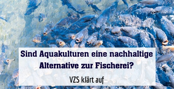 VZS klärt auf