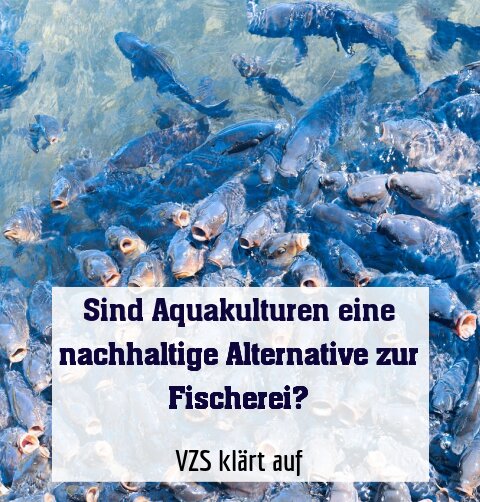 VZS klärt auf