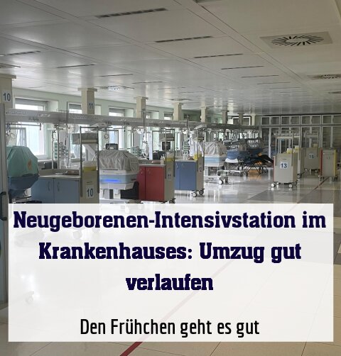 Den Frühchen geht es gut