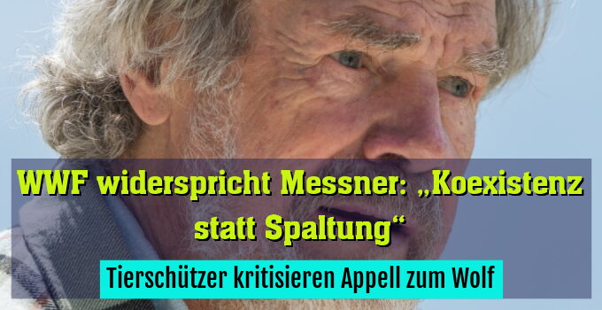 Tierschützer kritisieren Appell zum Wolf