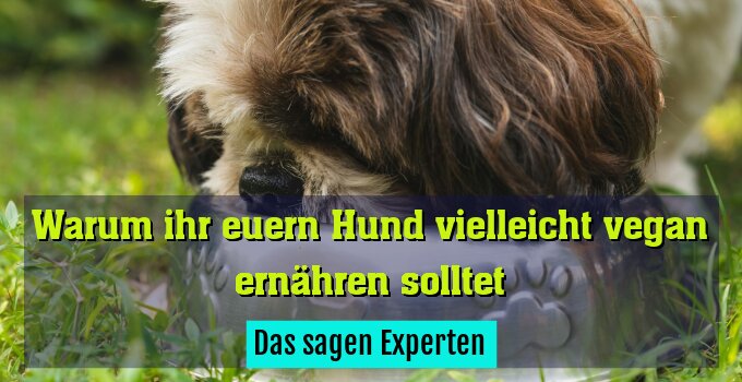 Das sagen Experten