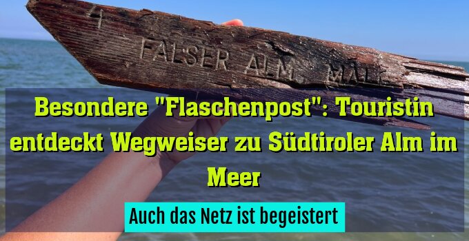 Auch das Netz ist begeistert