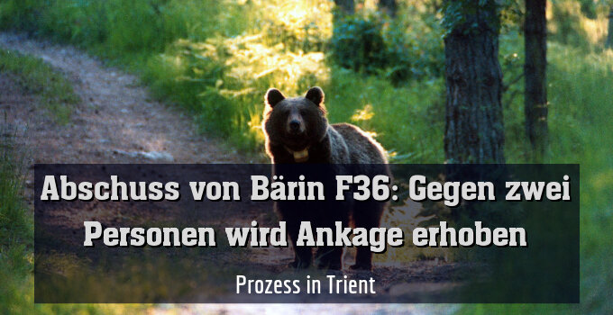 Prozess in Trient