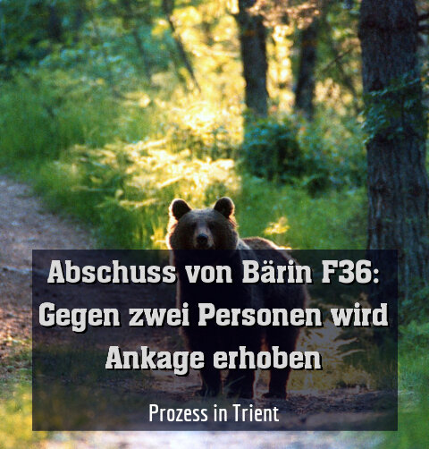 Prozess in Trient