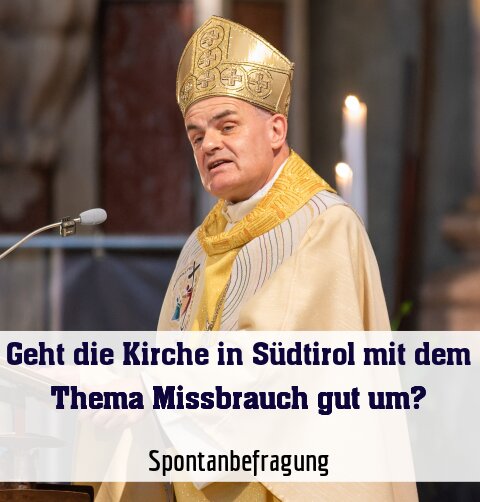Spontanbefragung