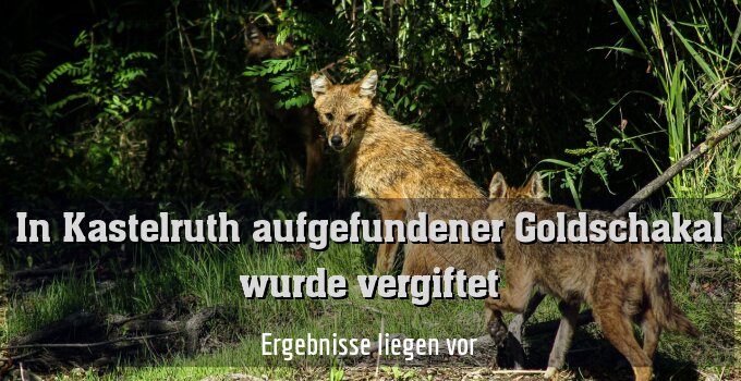 Ergebnisse liegen vor