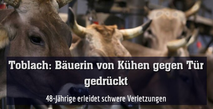 48-Jährige erleidet schwere Verletzungen