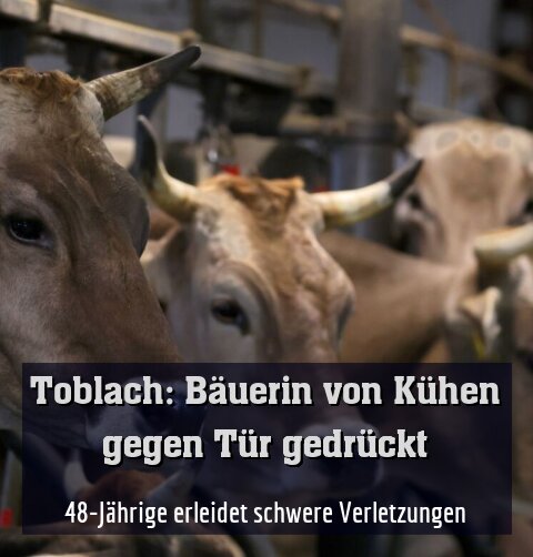 48-Jährige erleidet schwere Verletzungen