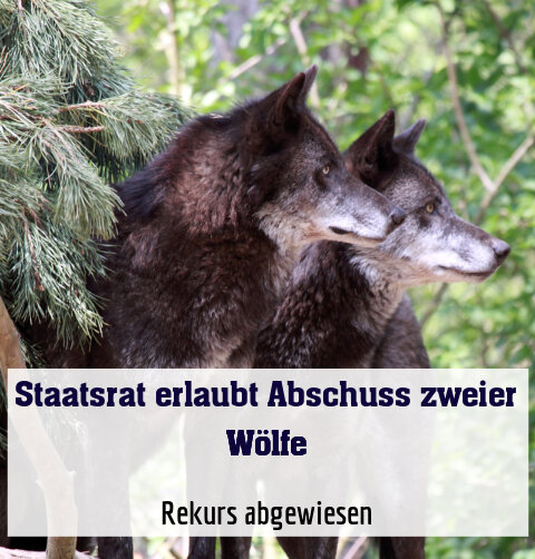 Rekurs abgewiesen