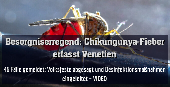 46 Fälle gemeldet: Volksfeste abgesagt und Desinfektionsmaßnahmen eingeleitet – VIDEO