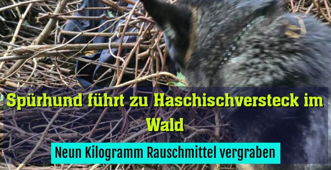 Neun Kilogramm Rauschmittel vergraben