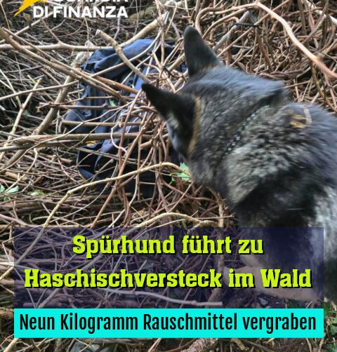 Neun Kilogramm Rauschmittel vergraben