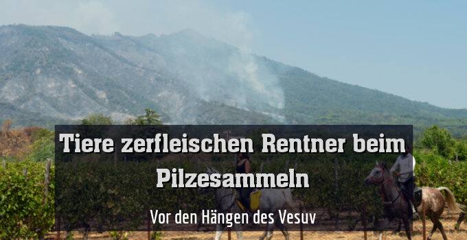 Vor den Hängen des Vesuv