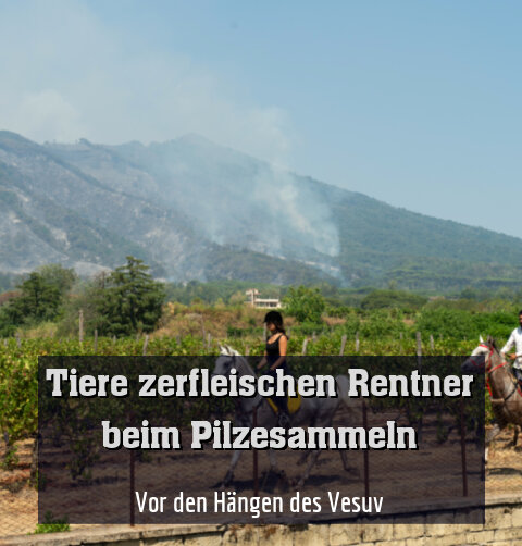 Vor den Hängen des Vesuv