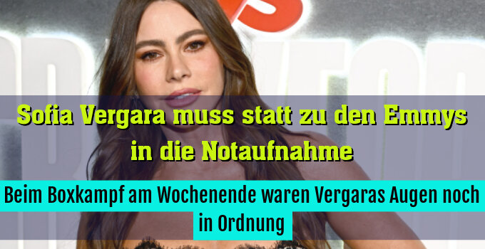 Beim Boxkampf am Wochenende waren Vergaras Augen noch in Ordnung