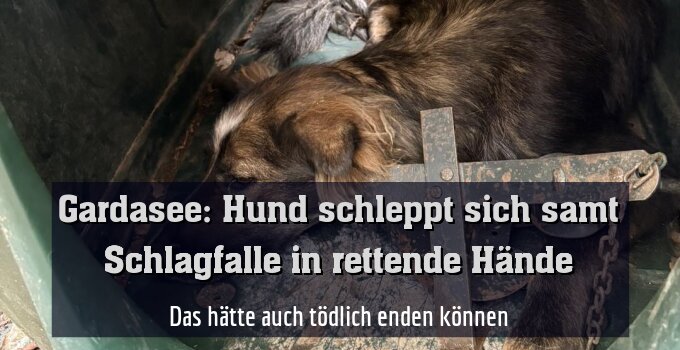 Das hätte auch tödlich enden können