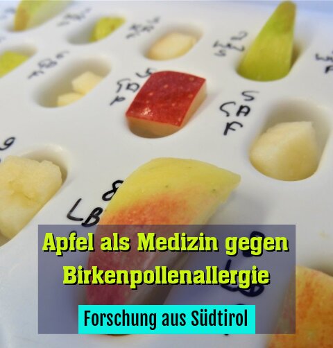 Forschung aus Südtirol