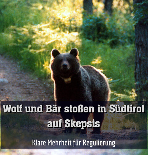 Klare Mehrheit für Regulierung