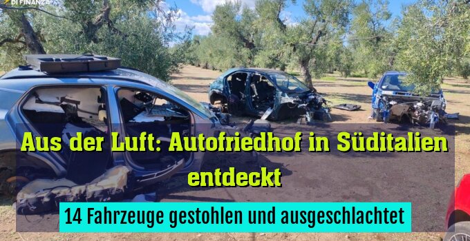 14 Fahrzeuge gestohlen und ausgeschlachtet