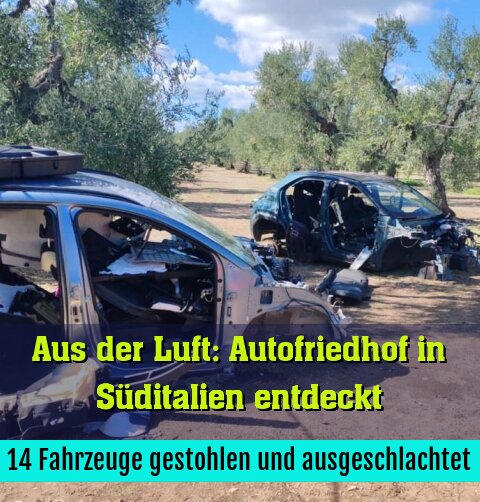 14 Fahrzeuge gestohlen und ausgeschlachtet