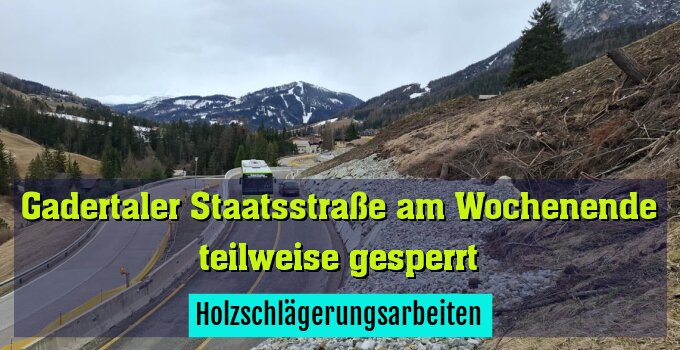 Holzschlägerungsarbeiten