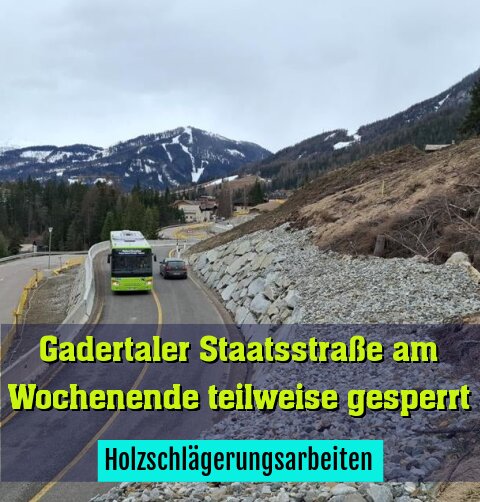 Holzschlägerungsarbeiten