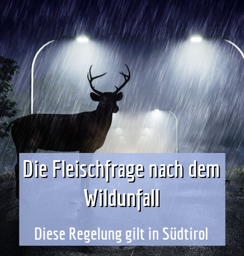 Diese Regelung gilt in Südtirol