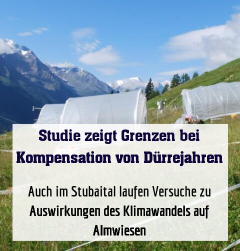 Auch im Stubaital laufen Versuche zu Auswirkungen des Klimawandels auf Almwiesen