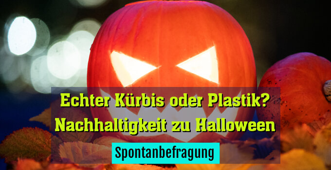Spontanbefragung