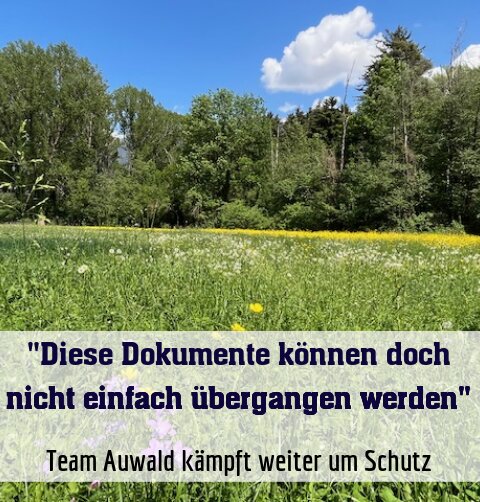 Team Auwald kämpft weiter um Schutz
