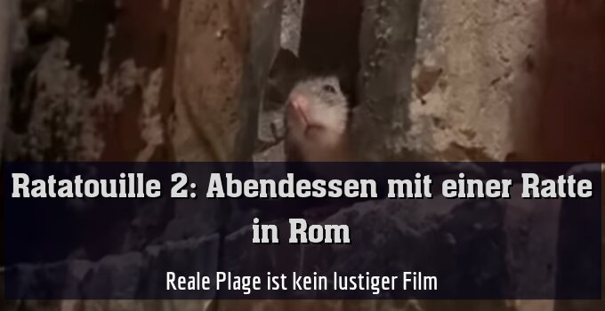 Reale Plage ist kein lustiger Film