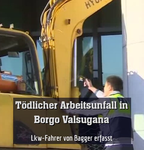 Lkw-Fahrer von Bagger erfasst