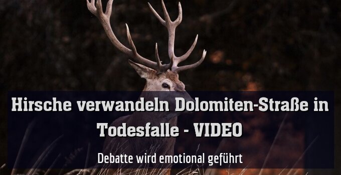 Debatte wird emotional geführt